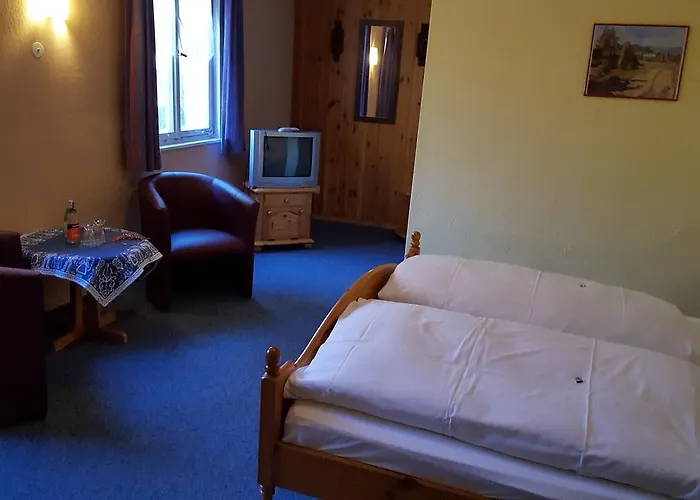 Schwarzwaldgasthof Baren *