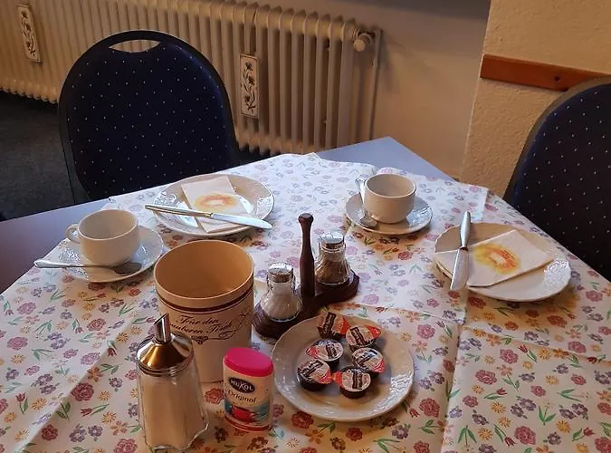 Schwarzwaldgasthof Baren Inn *